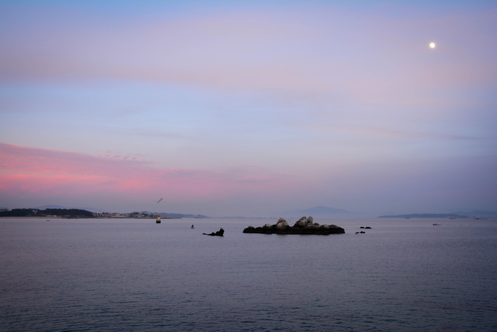 DSC_4361-2